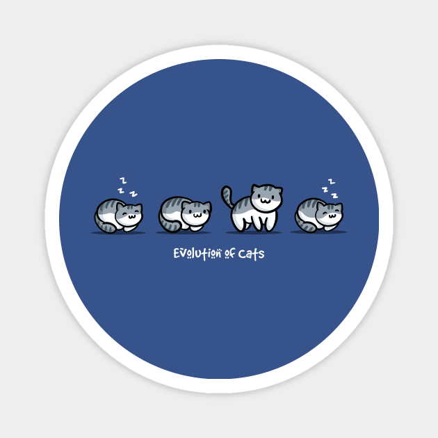 Evolution of Cats Magnet by fishbiscuit